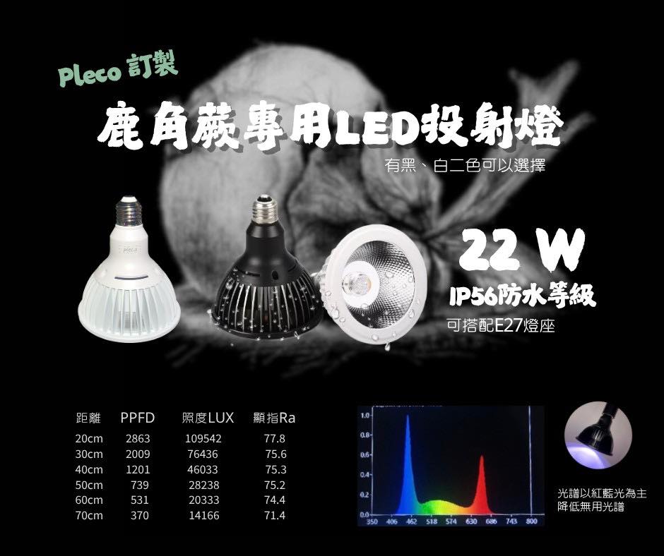 Pleco E27 LED Spotlight for Platycerium